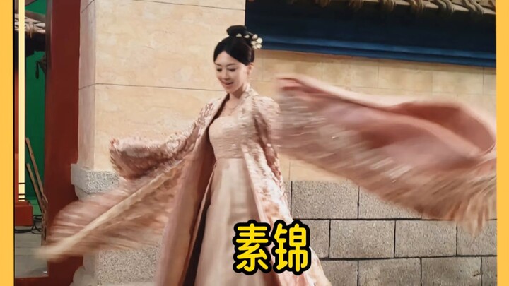 Tố Cẩm, đáng lẽ ngươi đã có một cuộc đời rất tốt đẹp.
