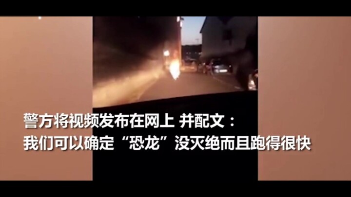 Seekor Tyrannosaurus Rex berlari di jalan di tengah malam, dan polisi Inggris mengejarnya dengan mob