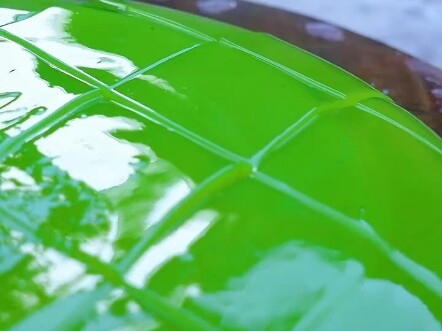 Shui Shui with hands on hips