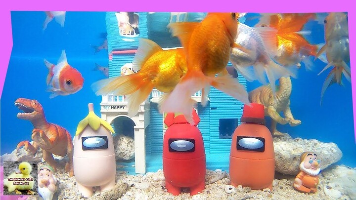 Amung Us Playing In The Water - Cute Pets animals Videos- The Animals Around Us