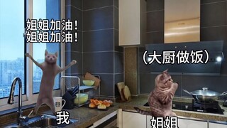 【Cat Meme】My sister cooked snail noodles for me