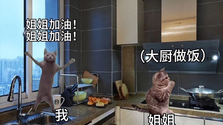 【ميم القطط】الأخت الكبرى تطبخ لي معكرونة الحلزون