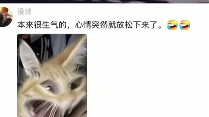 看了这个视频，本来平静的心变得更平静了～～～～～～