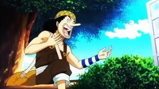 tuổi thơ bất hạnh của những thành viên đầu tiên của băng mũ rơm