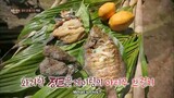 Law of the Jungle Episode 296 Eng Sub #cttro