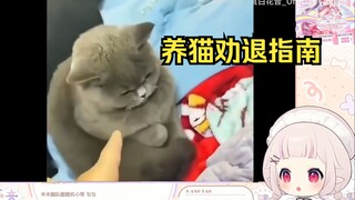 日本萝莉看《养猫劝退指南》看完更爱猫了