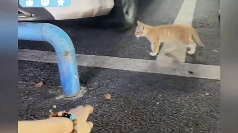 ฮาคิมิ รีบหน่อยเดี๋ยวหมด!