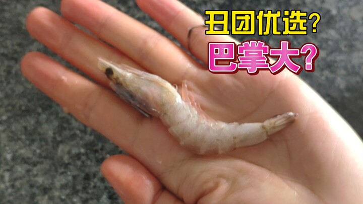 Pilihan Unggulan Grup Jelek: Cakar Udang Saya Sekecil Telapak Tangan, 1 Jin Harganya 13,88!