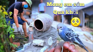 Yến Phụng Lỗi Mỏ Khả Năng Không Qua Khỏi - Thăm Quan Tác Phẩm Non Bộ Đẹp Của Anh Trai / Quế Nghịch