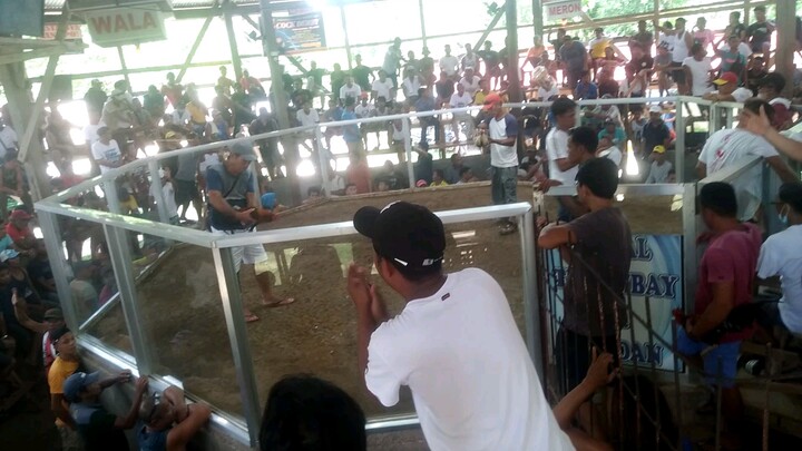 ipilan brookes hack fight 1x win