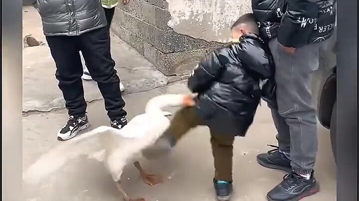They took a bite before it was even ripe—kids are really something.