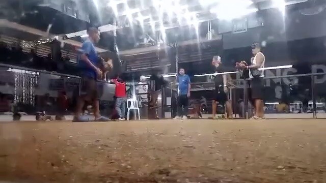 VCSA COCKPIT WIN (GAFFER)