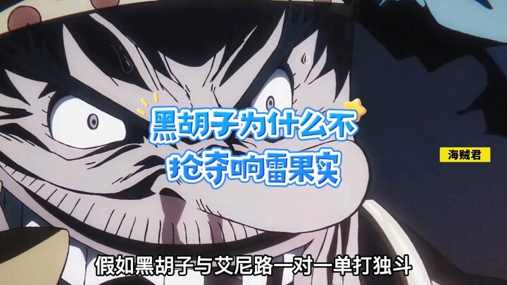 海贼王你不知道的事