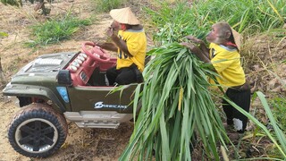 ABU helps mom drive carry grass to feed overturned fish