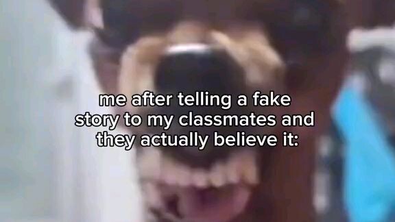 😅✌️