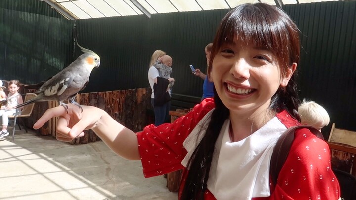 Mom, I’ve Befriended a Bird!