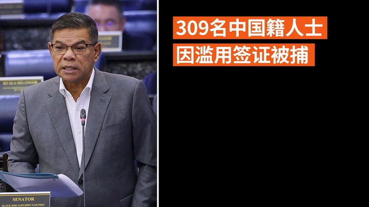 309名中国籍人士因滥用签证被捕