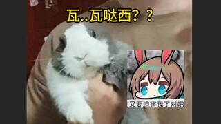 阿米娅：为我花生