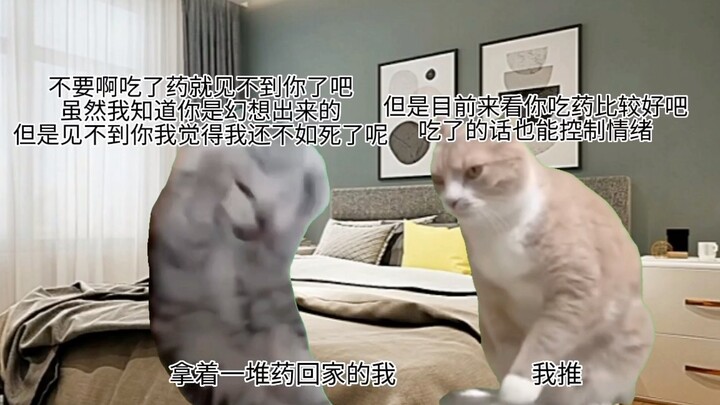 [Cat Meme] A Little Story About Summoning Myself as a Self-Promotion Due to Being Seriously Ill