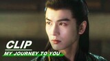 Gong Ziyu Ordered that No One Should Pursue Yun Weishan | My Journey to You EP21 | 云之羽 | iQIYI
