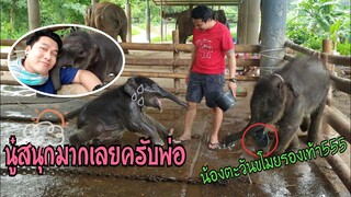 นู๋กวนพ่อแบบนี้สนุกจังเลย😂🤣😅