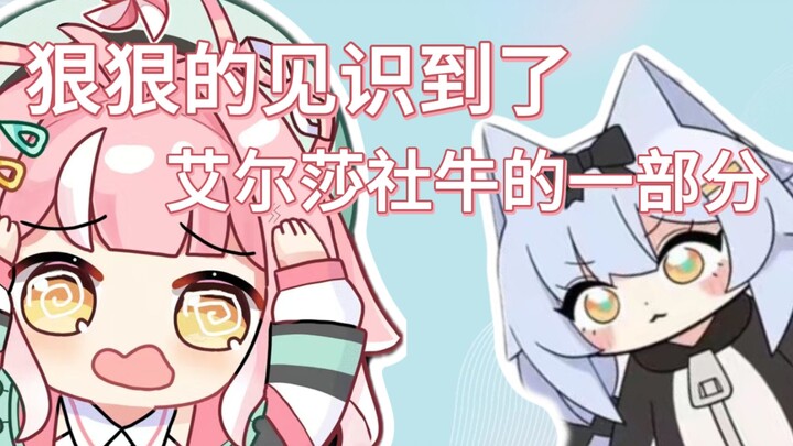 还得是大白猫