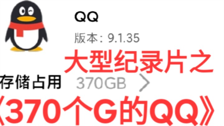 Large-scale documentary "370G of QQ"