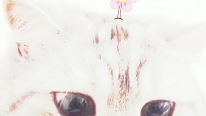 Noroma apir Yana Saputri