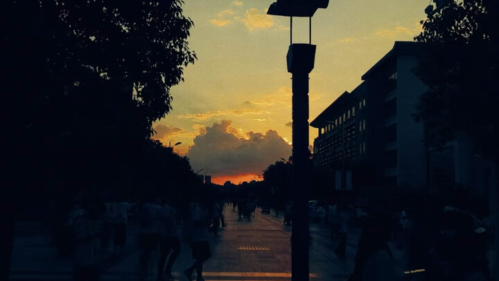 评论区摄影作品毒辣点评！