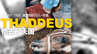 前天，Thaddeus去世了。（被虐待的马儿终章）