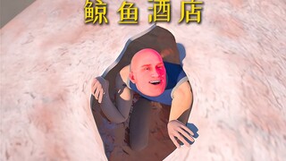 鲸落科学：为什么搁浅的鲸鱼不能靠近，“鲸鱼酒店”能治病？