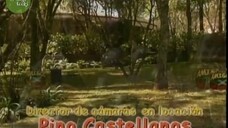 amigos x siempre episode 3 sub indo