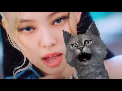 How You Like That Black Pink Cover by The Gamer Cat