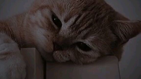 kalau korang dh nk berpisah korang hantar lagu ni kt bestie korang.