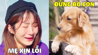 Duomi | Duomi Tội Nghiệp Bị Mẹ Bỏ Rơi Nhưng Lý Do Thực Sự Thì 😥 Gâu Đần Official