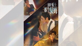 ĐỪNG YÊU NGƯỜI BẢO MẪU ẤY