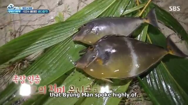 E341 Law of The Jungle - Sri Langka