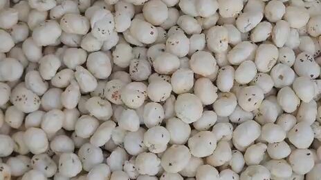 shri shud makhana