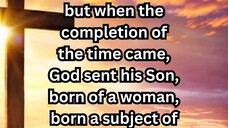 Daily Reflection October 28, 2025 #faith #bible #reflection