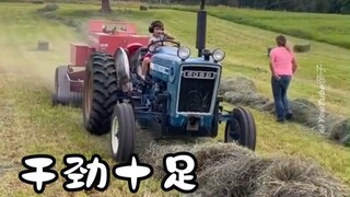 勤恳的小农场主🤠