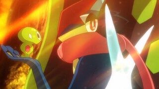 Perpisahan antara Ash dan Pokémon membuat orang menangis setiap saat. Sayangnya Ninja masih menebang