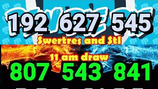 SWERTRES AND STL HEARING TIP MARCH 29 2019