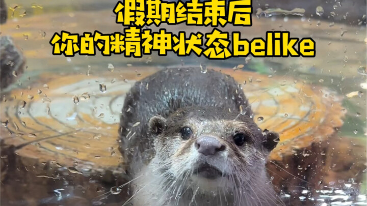 Apakah ini kondisi mentalmu setelah libur panjang saat kembali bekerja?