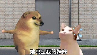 可以当我的男朋友，和我说几句话吗