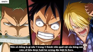 Zoro Có Haki Bá Vương_ - Tiềm Năng Sức Mạnh Của Zoro _ 10