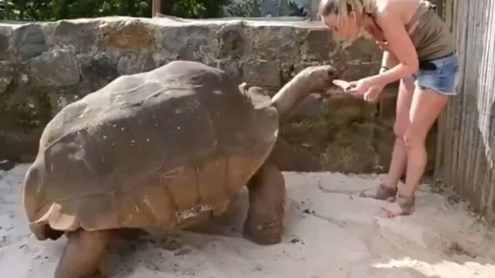 Ông nội cũng nghịch ngợm như cháu đó.