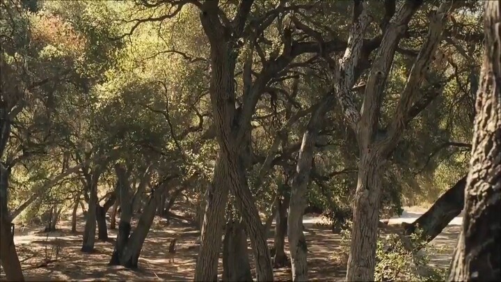 The Haunting of Molly Hartley Full Movie