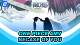Because Of You | One Piece | Sad AMV_2