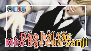 Đảo hải tặc|[MMD]Mèo bạc của Sanji