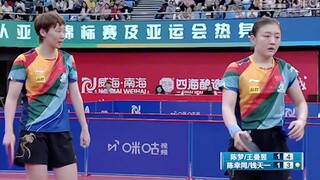 Cá mèo nhỏ cười tít mắt khi đánh bóng đẹp